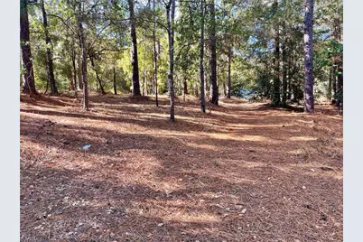 0 Hylan Avenue, Hamlet, NC 28345 - Photo 3