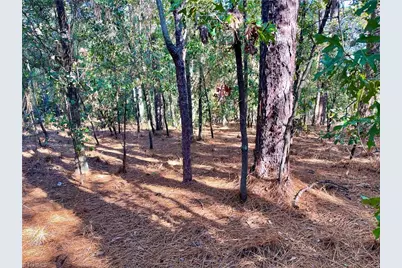 0 Hylan Avenue, Hamlet, NC 28345 - Photo 7