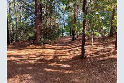 0 Hylan Avenue, Hamlet, NC 28345 - Photo 9