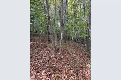 1517 Buffalo Road, Sandy Ridge, NC 27046 - Photo 31