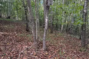 1517 Buffalo Rd, Sandy Ridge, NC 27046 - Photo 31