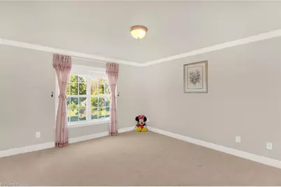 5402 Effieham Street, Oak Ridge, NC 27310 - Photo 29