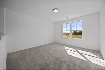 2421 Pleasant Hill Liberty Road, Liberty, NC 27298 - Photo 17