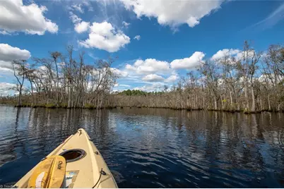 709 Everetts Mill Road, Rockingham, NC 28379 - Photo 37