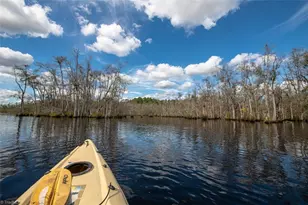 709 Everetts Mill Rd, Rockingham, NC 28379 - Photo 37