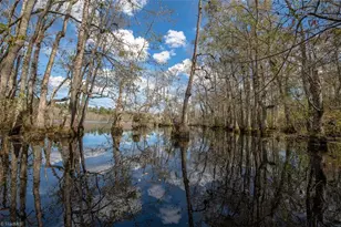 709 Everetts Mill Rd, Rockingham, NC 28379 - Photo 43