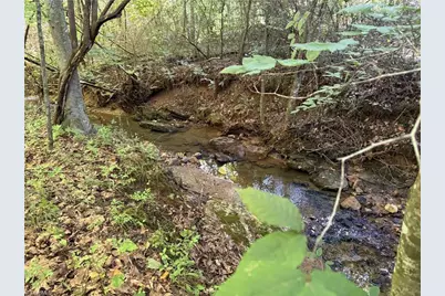 14.8 Acres Rock Haven Drive, King, NC 27021 - Photo 3