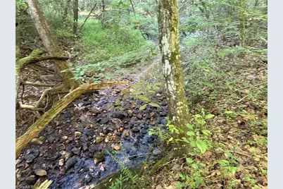 14.8 Acres Rock Haven Drive, King, NC 27021 - Photo 11