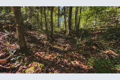 Tbd Mary Lane, Hamptonville, NC 27020 - Photo 25