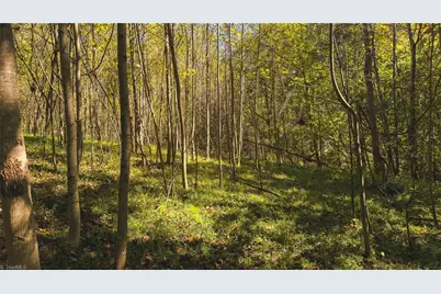 Tbd Mary Lane, Hamptonville, NC 27020 - Photo 19