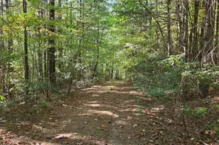 4091 Big Ivy Rd, Purlear, NC 28665 - Photo 37