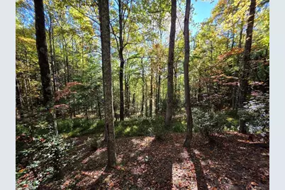 4091 Big Ivy Road, Purlear, NC 28665 - Photo 31