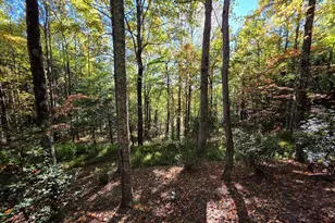 4091 Big Ivy Rd, Purlear, NC 28665 - Photo 31