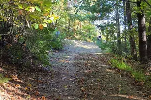 4091 Big Ivy Rd, Purlear, NC 28665 - Photo 35