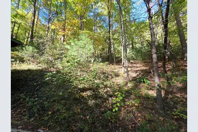 4091 Big Ivy Road, Purlear, NC 28665 - Photo 25