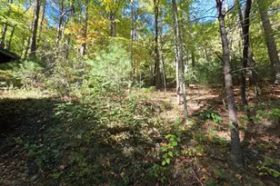 4091 Big Ivy Rd, Purlear, NC 28665 - Photo 25