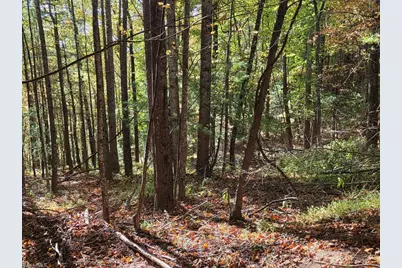 4091 Big Ivy Road, Purlear, NC 28665 - Photo 39