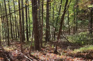 4091 Big Ivy Rd, Purlear, NC 28665 - Photo 39