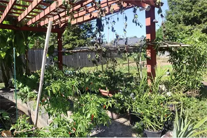 3310 Cherrybrook Drive, Jamestown, NC 27282 - Photo 11