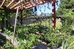 3310 Cherrybrook Dr, Jamestown, NC 27282 - Photo 11