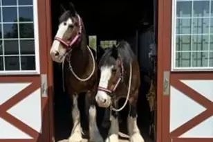 400 Ratledge Rd, Mocksville, NC 27028 - Photo 31