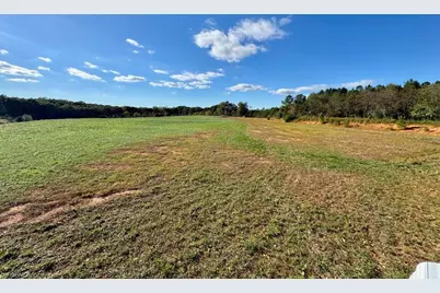 481 Ellis Hardy Road #22.3 Ac, Pinnacle, NC NC - Photo 19