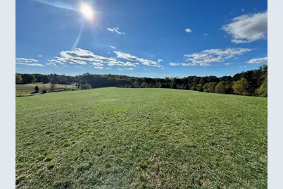 481 Ellis Hardy Road #22.3 Ac, Pinnacle, NC NC - Photo 7