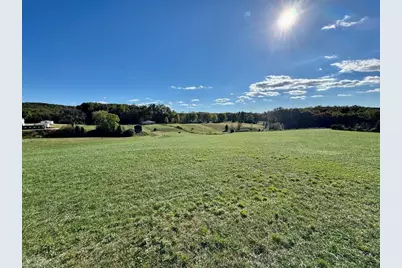 481 Ellis Hardy Road #22.3 Ac, Pinnacle, NC NC - Photo 9