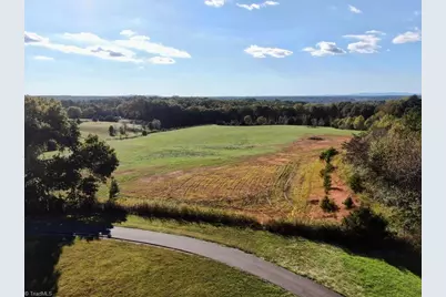 481 Ellis Hardy Road #22.3 Ac, Pinnacle, NC NC - Photo 11