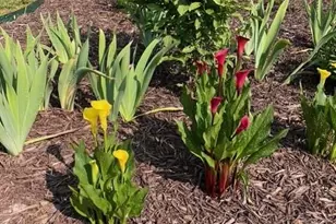 216 Parks Meadows Dr, Lexington, NC 27292 - Photo 29