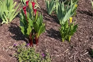 216 Parks Meadows Dr, Lexington, NC 27292 - Photo 27