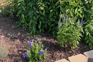 216 Parks Meadows Dr, Lexington, NC 27292 - Photo 23