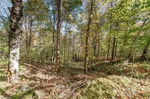 2080 Pannel Rd, Reidsville, NC 27320 - Photo 39