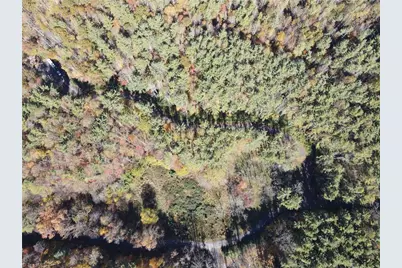 Tbd Jake Blackburn Road, Lansing, NC Lansi - Photo 19