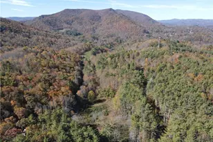 Tbd Jake Blackburn Rd, Lansing, NC Lansi - Photo 1