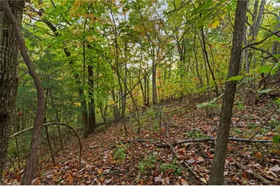 Lot 16 Little Ivy Lane, Deep Gap, NC 28618 - Photo 3
