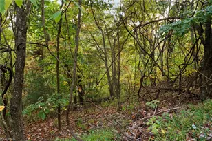 Lot 16 Little Ivy Ln, Deep Gap, NC 28618 - Photo 1