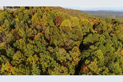 Lot 16 Little Ivy Lane, Deep Gap, NC 28618 - Photo 11