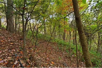Lot 16 Little Ivy Lane, Deep Gap, NC 28618 - Photo 5