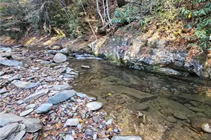 1228 Powder Horn Mountain Rd, Deep Gap, NC 28618 - Photo 47