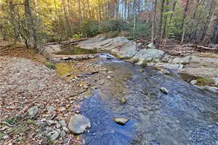 1228 Powder Horn Mountain Rd, Deep Gap, NC 28618 - Photo 49