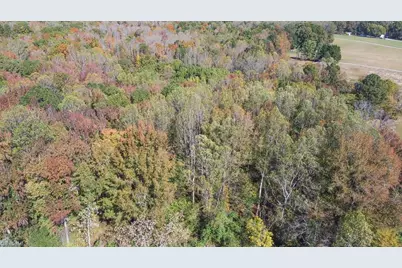 2241 Nc Highway 87, Reidsville, NC 27320 - Photo 7