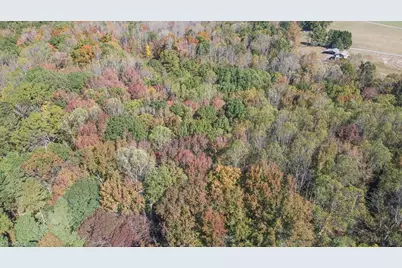 2241 Nc Highway 87, Reidsville, NC 27320 - Photo 9