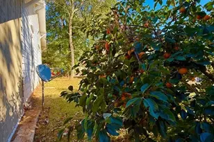 238 Broad St, Lexington, NC 27295 - Photo 21