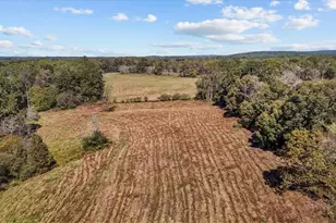 6464 Bonlee Bennett Rd, Bear Creek, NC 27207 - Photo 41