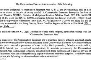 876 Rock Hill Church Rd, Ararat, NC 27007 - Photo 29