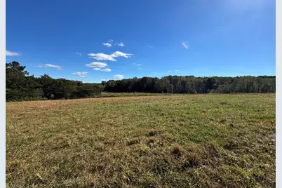 876 Rock Hill Church Road, Ararat, NC 27007 - Photo 9