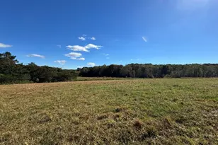 876 Rock Hill Church Rd, Ararat, NC 27007 - Photo 9