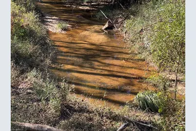 876 Rock Hill Church Road, Ararat, NC 27007 - Photo 5