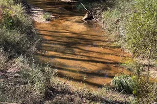 876 Rock Hill Church Rd, Ararat, NC 27007 - Photo 5